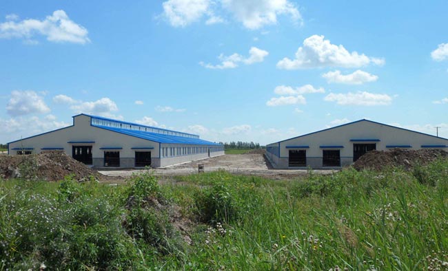 ��ţ���켪���r(n��ng)���I(y��)ţ��.