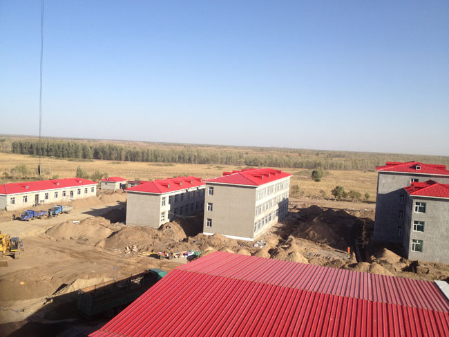 ��茴��ֹ���